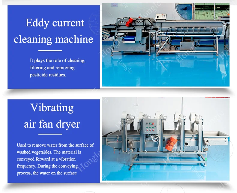 Fruits and Veggies Packing Machine Full Multi-Function Brush Organe Carrot Orange Sorting Washing Waxing Green Onion Cutter Line factory