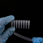Strips Tube Strip 0.1Ml 8 Strips Label Resin Pcr Plate Test Tube Strip With Box