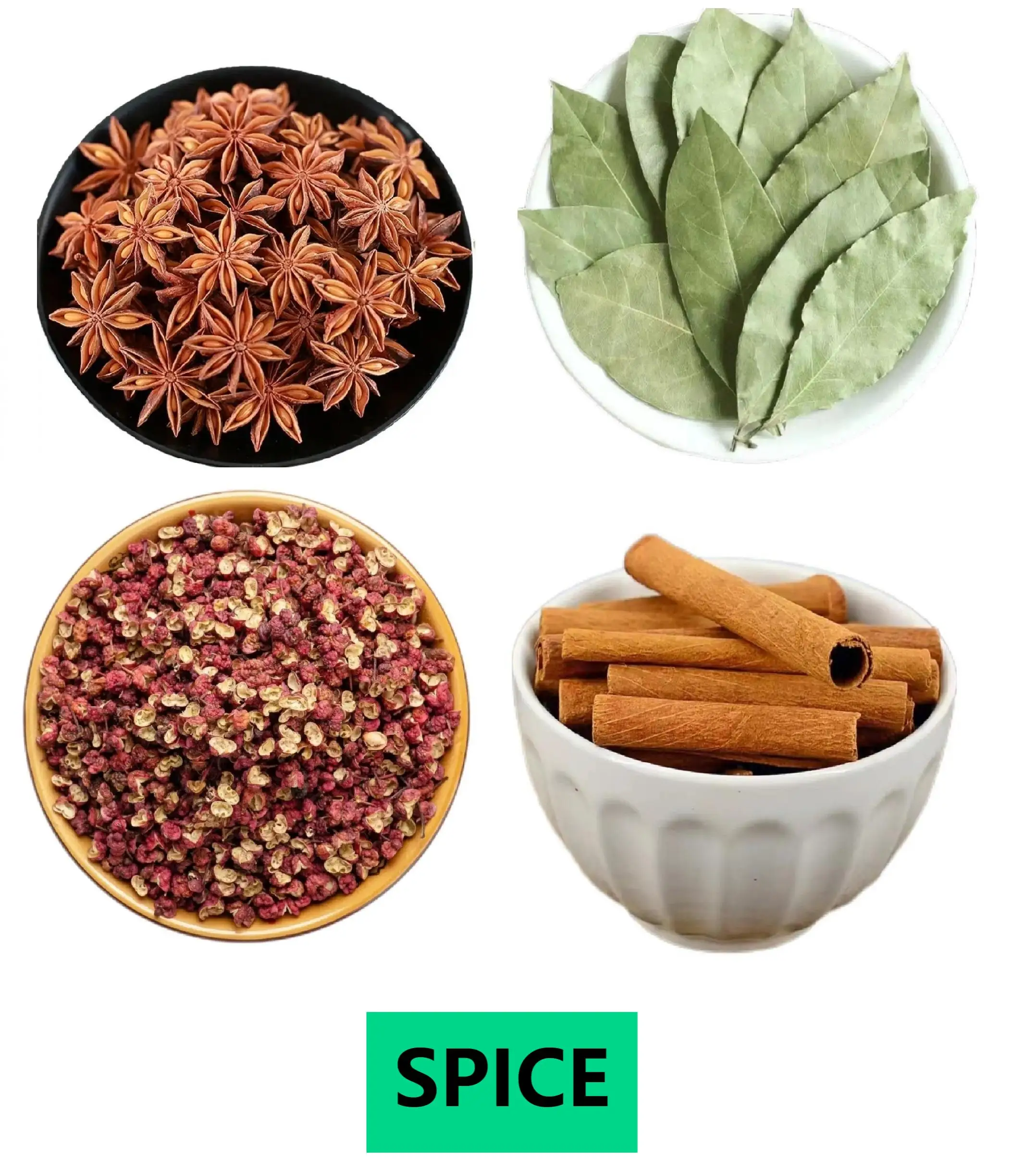 SPICE.jpg