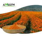 Natural Lutein AMULYN Pure Natural Marigold Flower Extract Powder Lutein