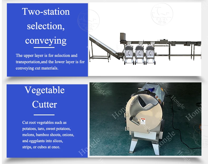 Fruits and Veggies Packing Machine Full Multi-Function Brush Organe Carrot Orange Sorting Washing Waxing Green Onion Cutter Line factory