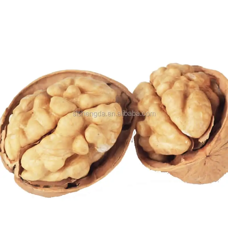 Walnut with Shell Price per kg in China