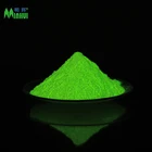 Color Pigment Glow Pigment Water Dye Color Powder Glow-in-the-Dark Powder Rare Earth Aluminate Glow Pigment