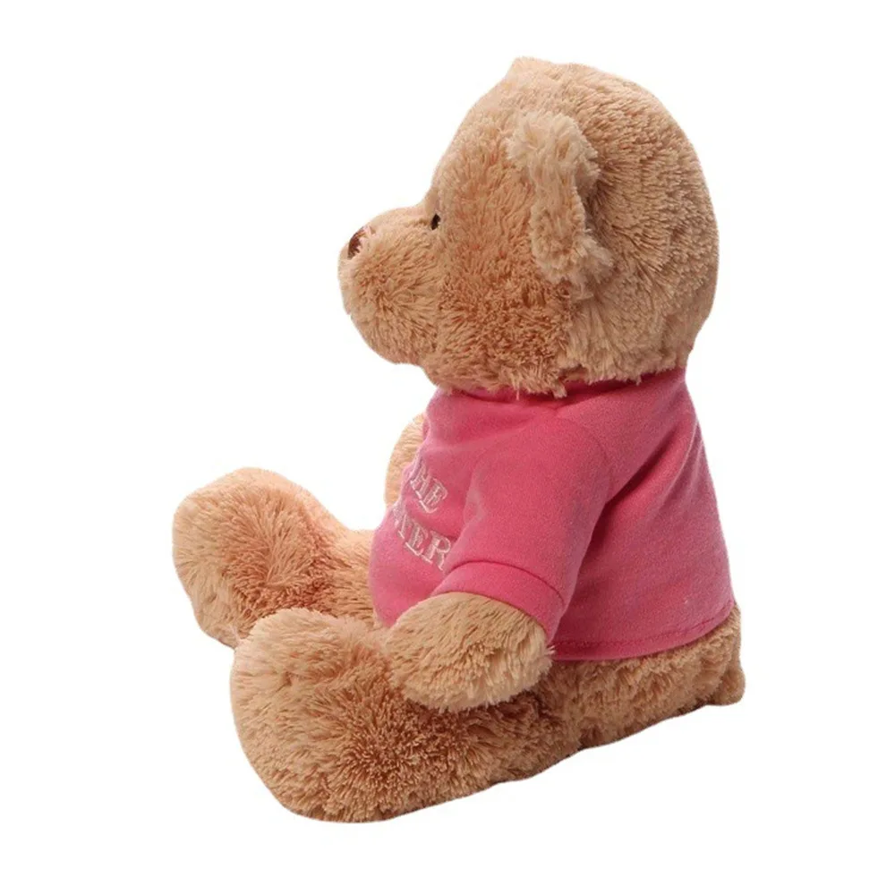 Factory Custom Animal Brown Bear Soft Plush Toy With T-shirt Stuffed Teddy Bear Design Promotional Gift