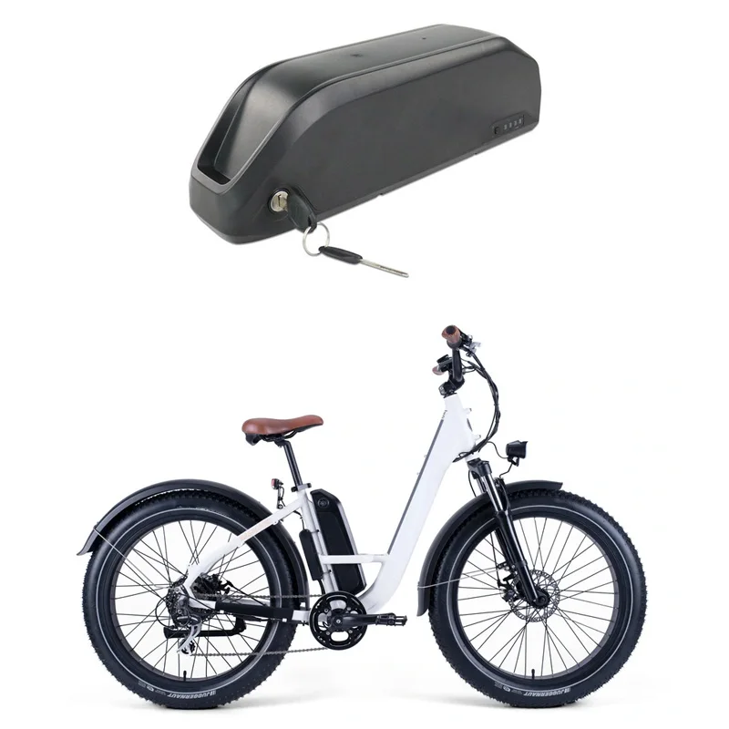 custom e bike battery