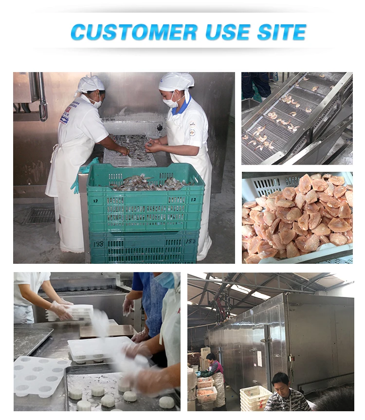 Quality Iqf Tunnel Freezer, 380 V - detail 8