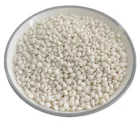 Pla Plastic Granule Biodegradable Granule PBAT PLA Shopping Bag Production