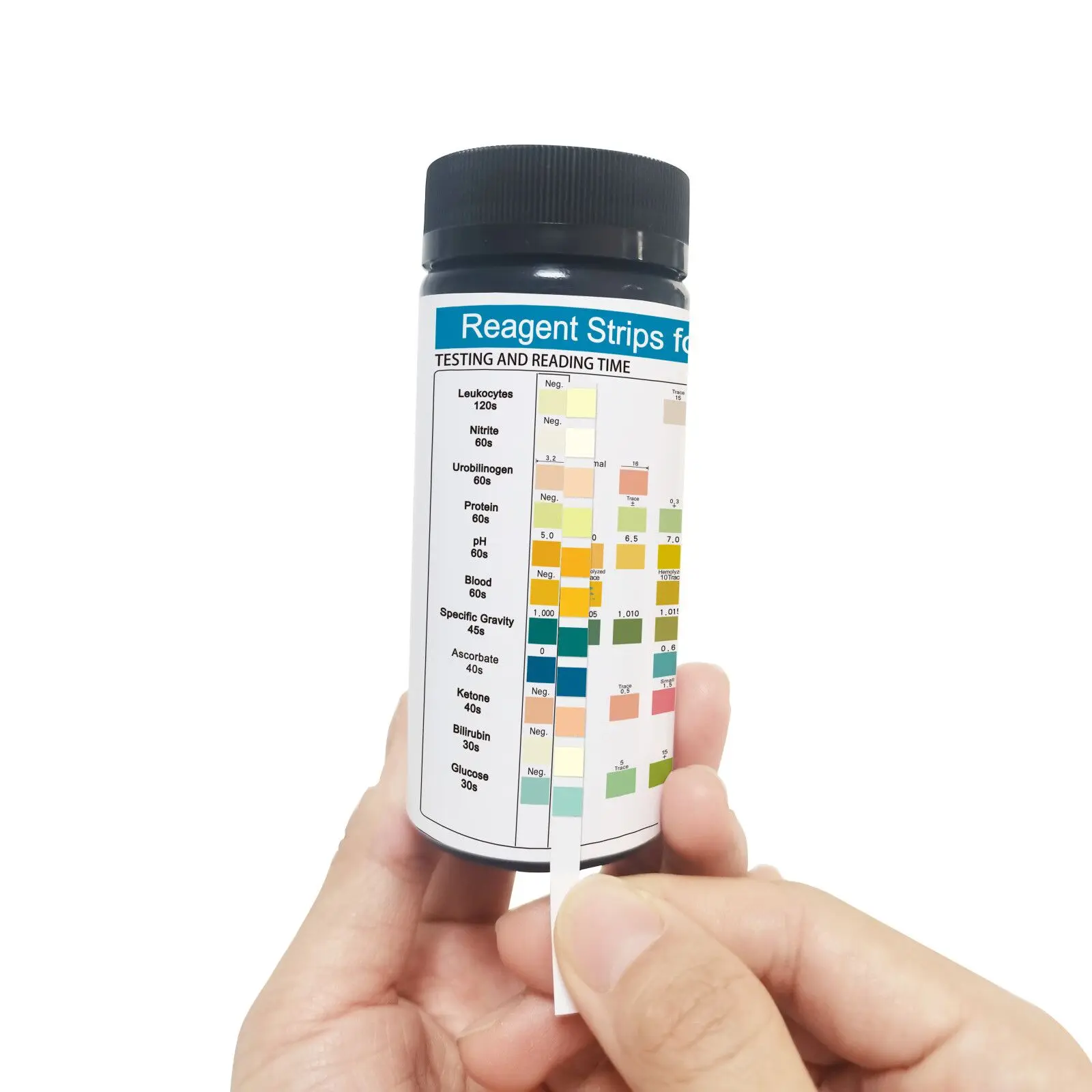 Urine Dipstick Parameter Urinalysis Reagent Test Strips Ketone