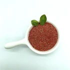 Seeds Factory Direct Price Best Baking Ingredient Snack Food Strawberry Seeds For Sale