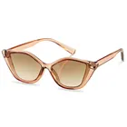 New Sunglasses 2021 New Small Frame Sexy Cat Eye Women Men Sunglasses Vintage Jelly Color Sunglasses
