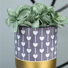 Garden Colorful Direct Factory Wholesale Small Succulent Cement Garden Flower Plant Pot Vase Set
