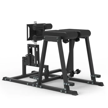 AEGIS Fitness Equipment Curved Leg Training Machine Reverse Hyper Extension Machine