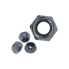 Nut Nuts General Industry Hexagonal M6 M8 M10 Nylon Nut Stainless Steel Nyloc Nuts