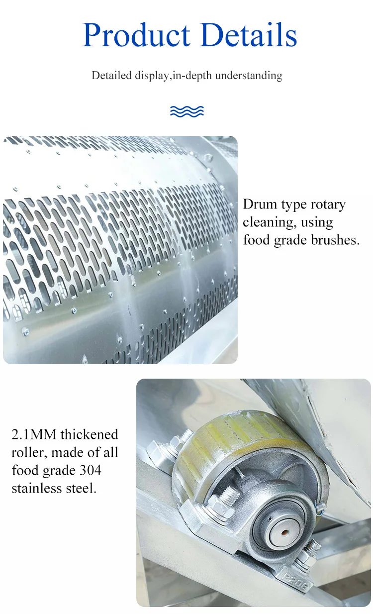 Drum Cashew Pistachio Nut Washing Cleaning Machine Macadamia Nuts Cleaning Machine factory
