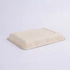 Disposable Tray Bagasse Tray Disposable Tableware Environmental Protection Bagasse Rectangle Tray 2D