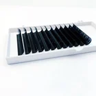 Eyelashes Mink Eyelash Wholesale Prive Individual Lshes Eyelashes Extension Mink False Eyelash Vendor