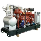 Generator Generator 200kw 200kw 250kw 300kw 350kw 400kw 500kw Chp Biogas Generator/biomass Generator China Price