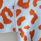Print Pullovers Women Causal Style Leopard Knitted Print Long Sleeve Female Pullovers Sweater