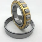 China Brand High Quality Cylindrical Roller Bearing N203 N204 N205 N206 N207 N208 N209 N210