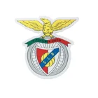 Team Patch Factory Sale Various Custom Sports Team Crest Patch Woven Patch For Club And Sport Team
