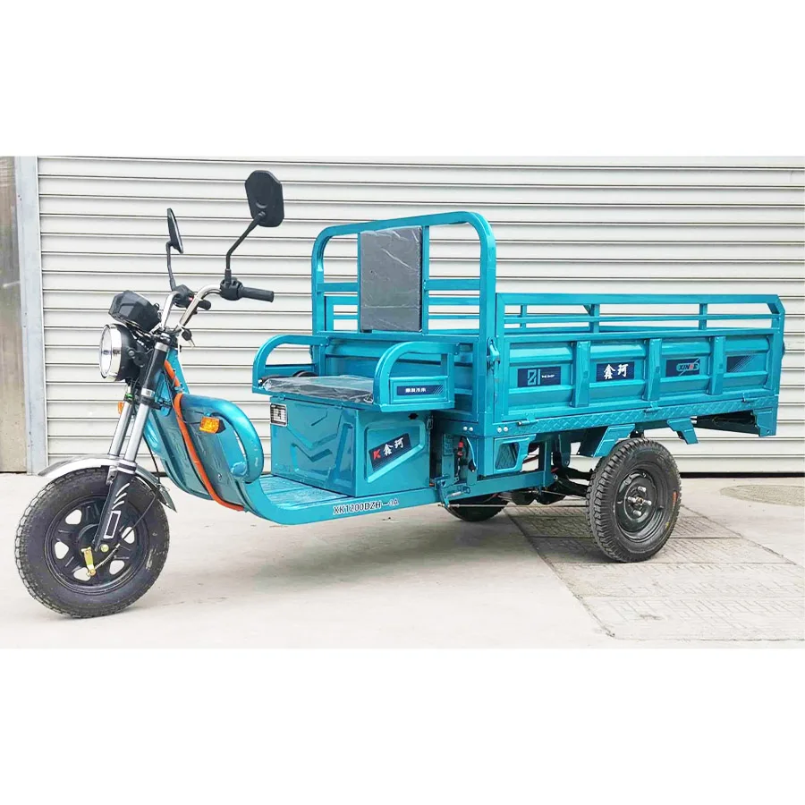 Cheap E Trikes 3 Wheel Cargo Electric Tricycles Motorcycle 1 3