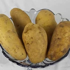 Potato Potatoes Potatopotato High Quality Fresh Potato From China Yellow Color Organic Fresh Potatoes