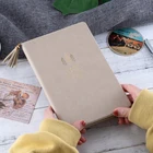 A5 Notebook A5 Apricot Leather Gold Folio Bound Planner Notebooks A5 Lined With Artistic Tassels