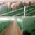 China 2023 New High Quality Sheep and Goat Flooring Farming Products Farm Equipment For Sale