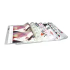 Premium Film Premium Pet Heat Transfer Release Film Pet Film Heat Transfer