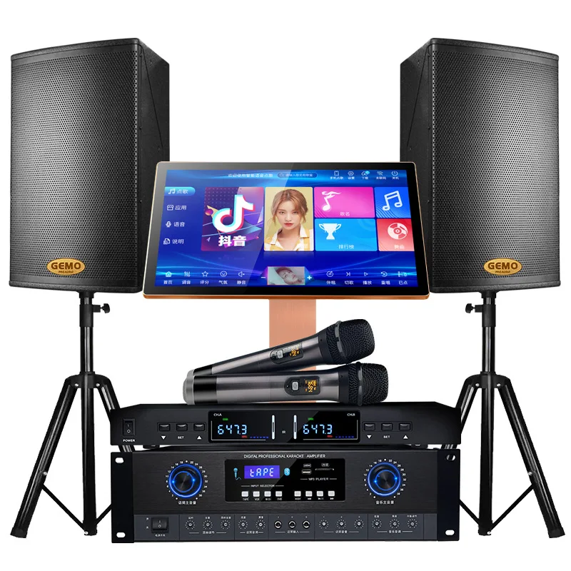 Professional Full Set Karaoke System With 12 Inch Speaker Builtin
