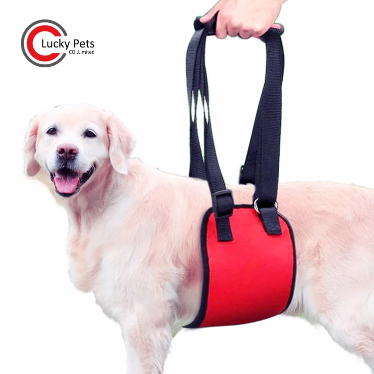 dog helper harness