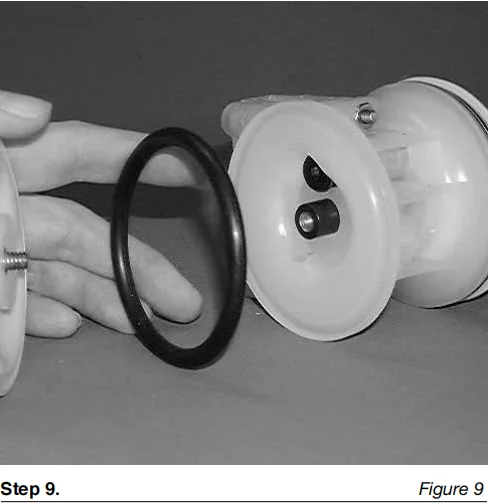 Bomba de diafragma neumática de acero inoxidable de 1/4'' P.025/SZPPP/TNL/TF/STV con PTFE Proveedor de bombas de diafragma Wilden