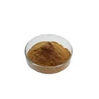 Organic Root Root Kava Kava Root Powder Organic Kava Kava 30% /70% Kava Root Extract Kava Kava Root Powder