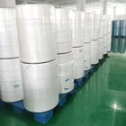 The Non-woven Fabric Non Woven Fabric 25 Gsm Mask Non-woven Fabric For Facemask