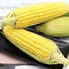 Yellow Corn Yellow Canned Yellow Corn / Sweet Tinned Yellow Corn