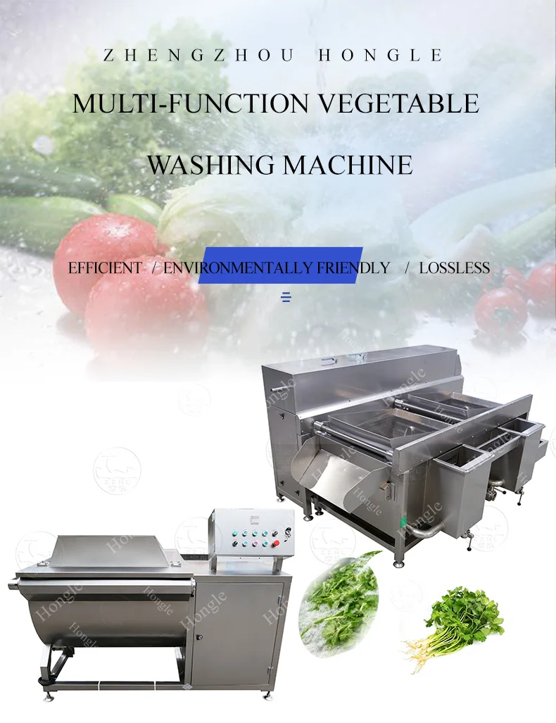 Blueberry and Vegetable Production Line White Radish Washing and Drying Machine for Hotels and Restaurants Used Condition manufacture