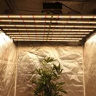 Dimmable Dimmable Led Grow Light Economic Shipping Knob Switch Dimmable 800w 640w 1000w LED Grow Light