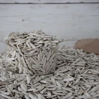 Wholesale High Quality Bulk Organic Salty Sunflower Seeds