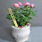 Custom Nursery Pots Garden Decoration Garden Plant Labels Plywood Herb Tags