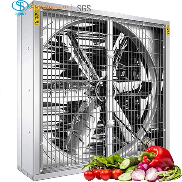 Durable Motor, BOOST, Axial - detail 10