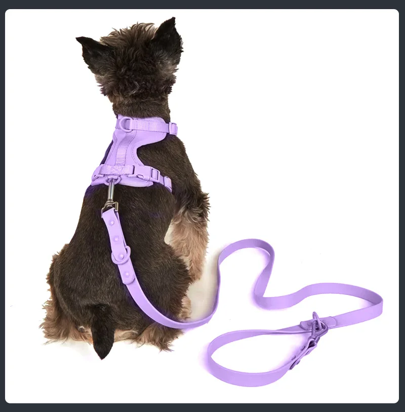 Durable Leather Pet Harness with No Pull Buckle Soft Poop Bag Set for Outdoor Travel Portable Pet Supplies supplier