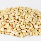 Pine Nut Pine Nut For Sale Chinese Red Pine Nut