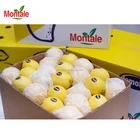 Good Fresh Organic Fruit Grade B Lime Lemon Size 88 100 113 150 Best Price Good Quality