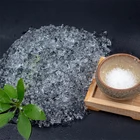 Garden Factory Hot Sale Water Retention Granules For Garden With Wholesale Price