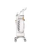Ipl Hair Ipl Factory Promotion Price Hot Selling Ipl DPL Hair Removal Beauty Machine Handle