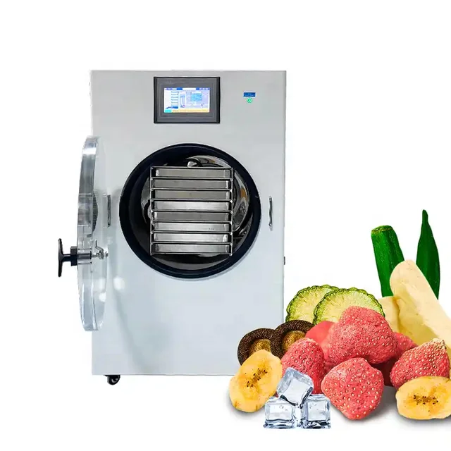 Household 6kg 8kg Fruit Food Mini Vacuum Dried Home Freeze Dryer Lyophilizer With Oil Free Vacuum Pump Machine