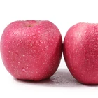 Apple Apple New Crop Fresh Fuji Apple