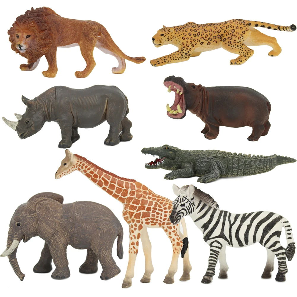 Africa animal model