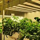Shi Grow Led Light Plant SHI LIAN 600W Waterproof Led Grow Light Hydroponic Gardening Indoor Plants