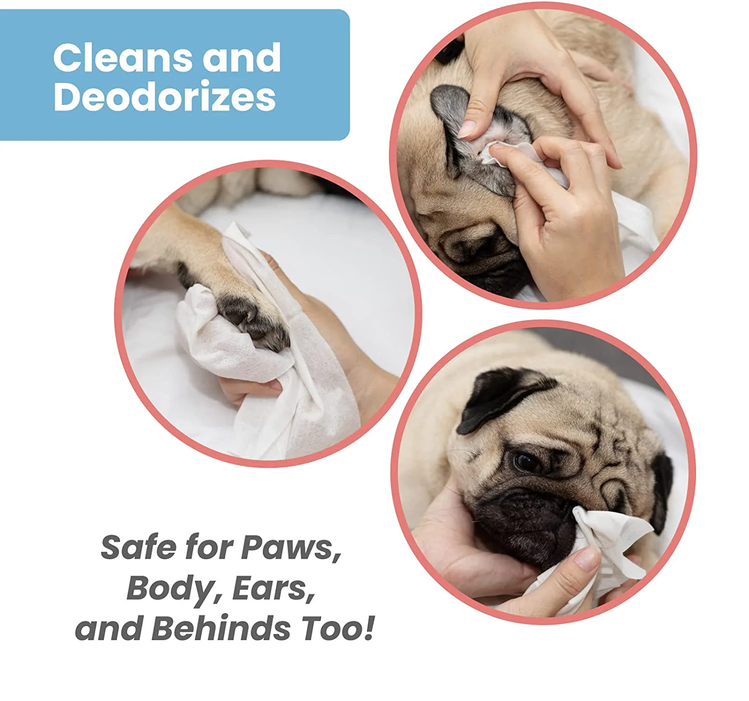  Ultimate Pet Paw Washer: The Essential Tool for a Clean and Happy Pet